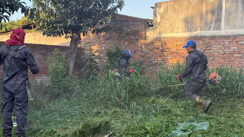 Villa Angelina: Tucumán en Positivo realizó un operativo de limpieza junto a vecinos 4967800633780014220